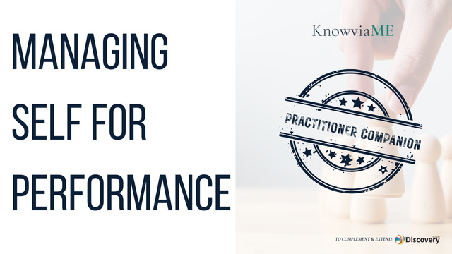 Practitioner Companion: Managing Self for Performance