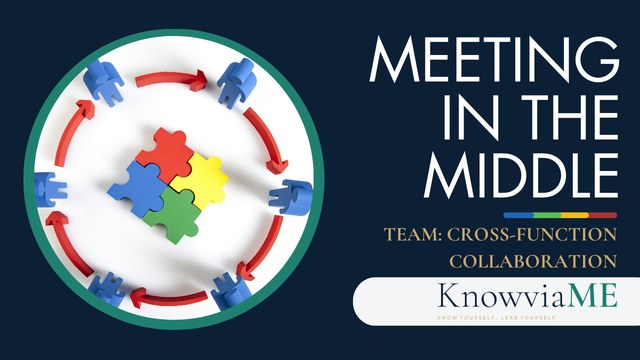 Meeting in the Middle — Cross-functional Working